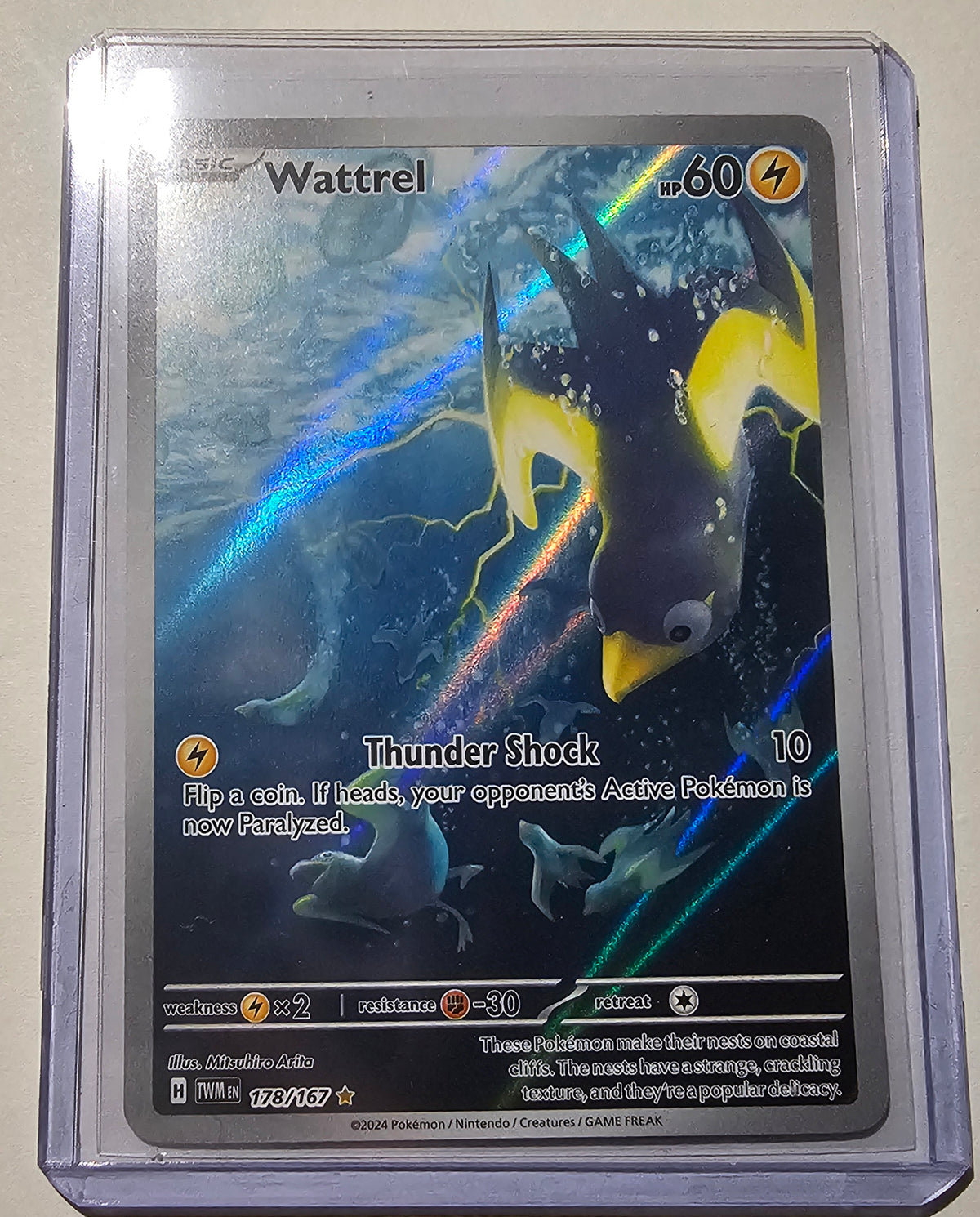 Wattrel Holo – Mitsuhiro Arita Artwork (60 HP) *NM